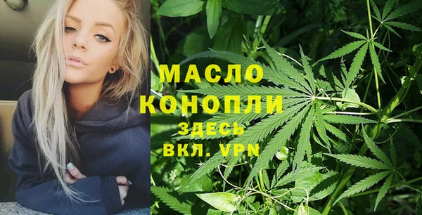 дурь Бородино