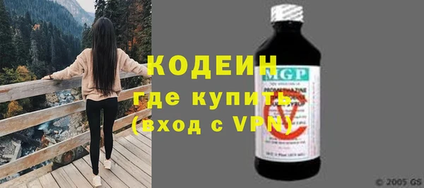 дурь Бородино