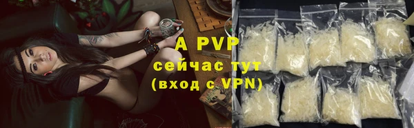 СК Бронницы