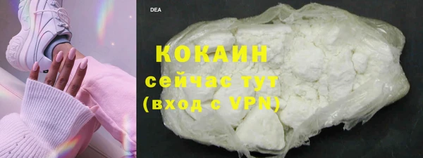 СК Бронницы