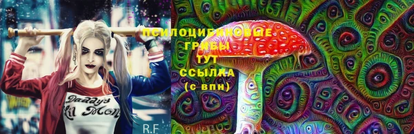 СК Бронницы