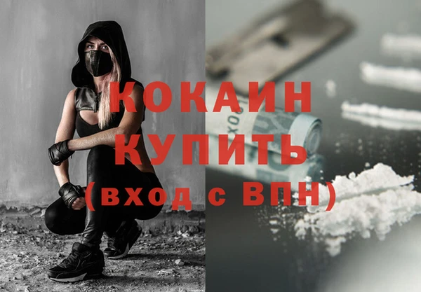 СК Бронницы