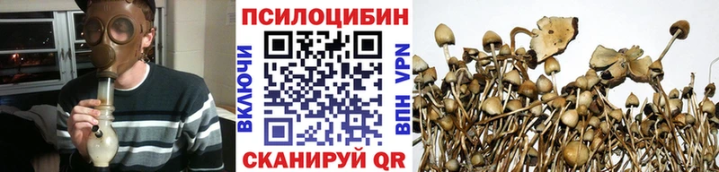 Псилоцибиновые грибы прущие грибы  Горнозаводск 